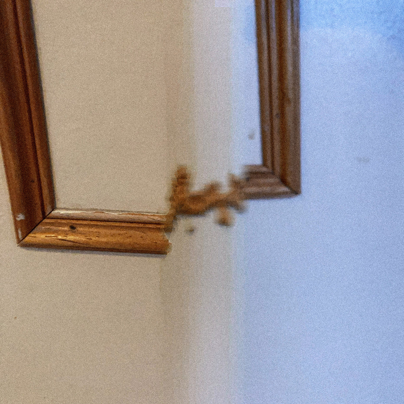 Composition photographique, par Bruno Bartkowiak 