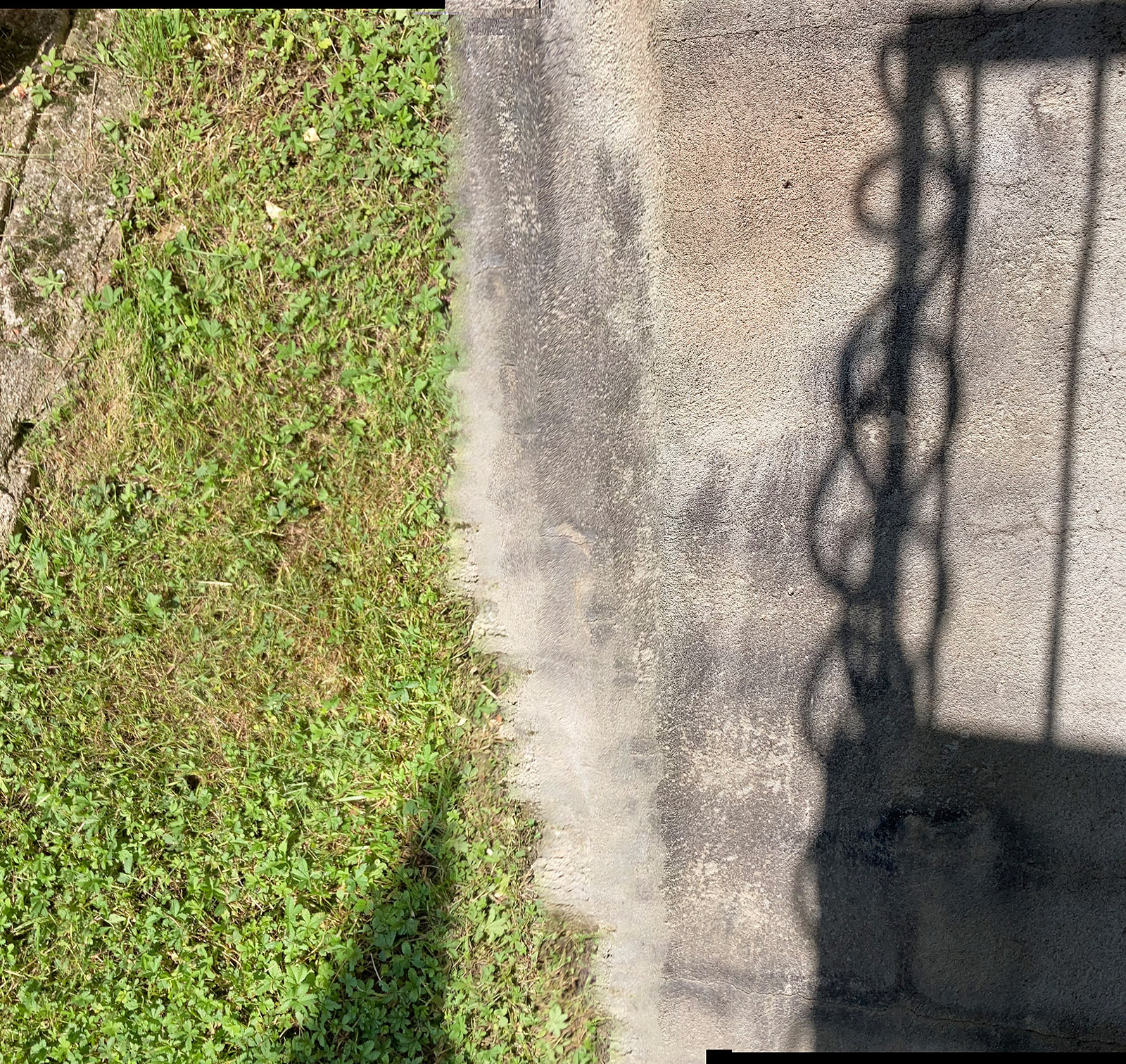 Composition photographique, par Bruno Bartkowiak 