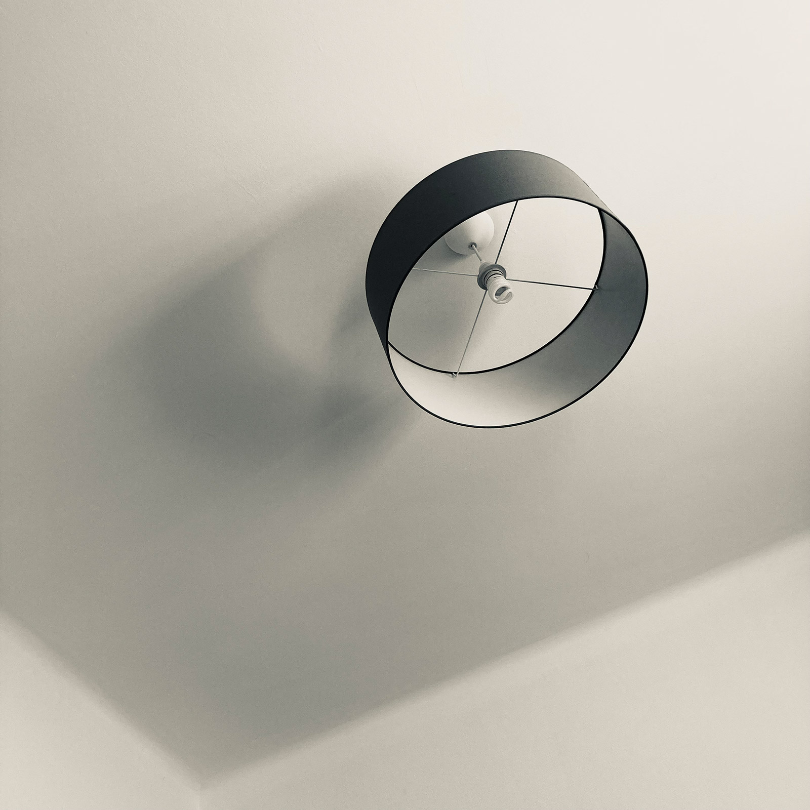 Composition photographique, par Bruno Bartkowiak 