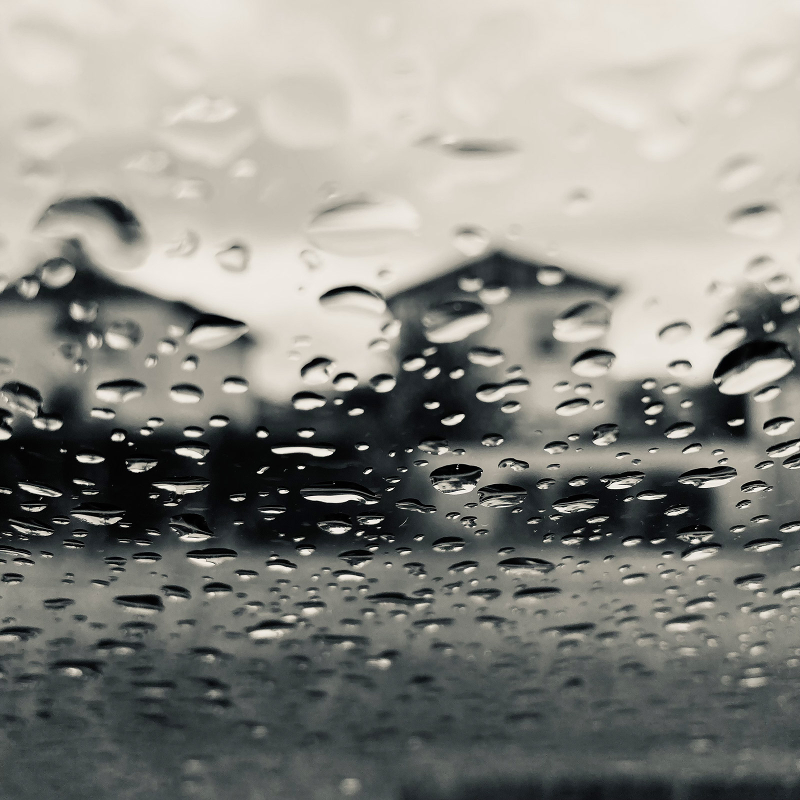 Composition photographique, par Bruno Bartkowiak 