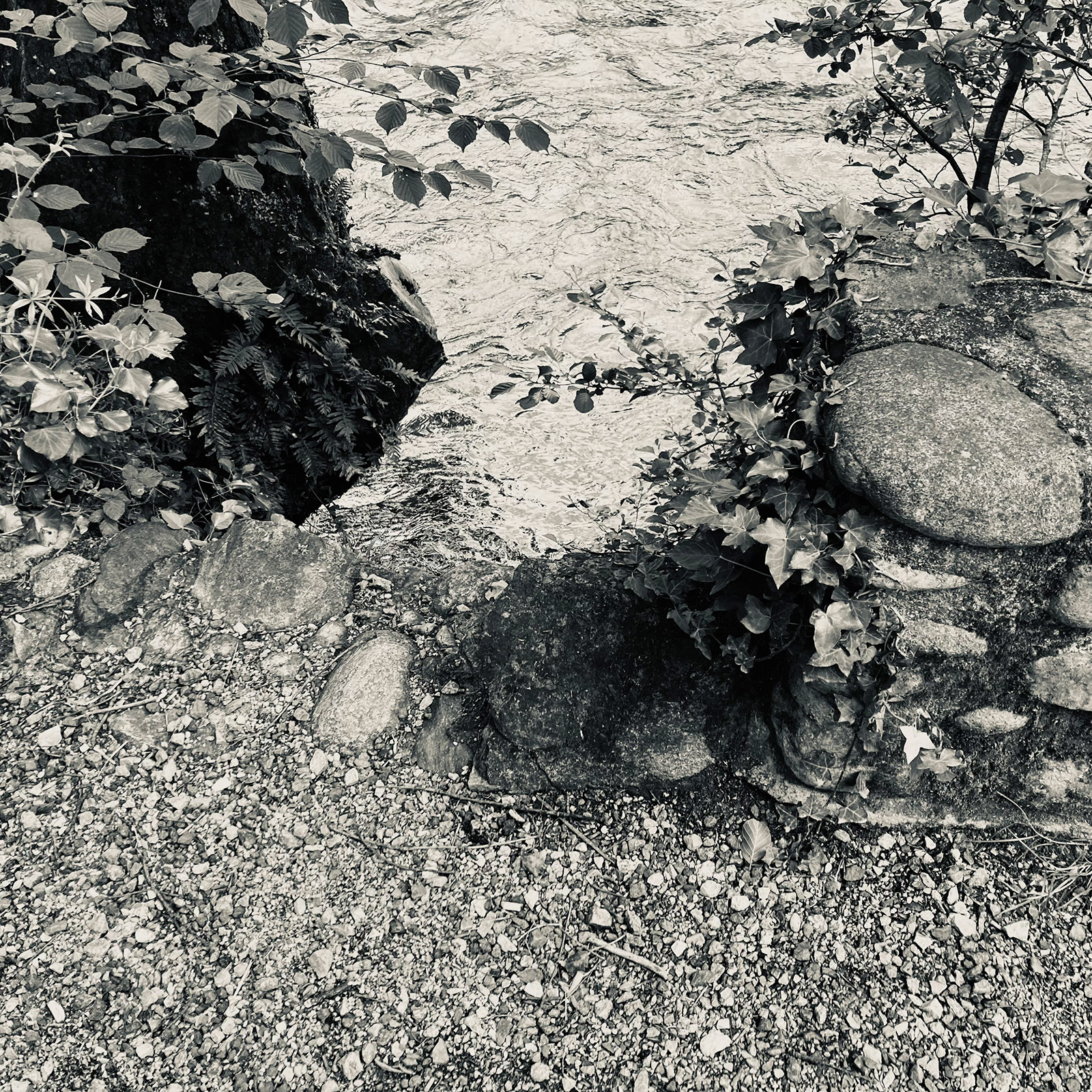 Composition photographique, par Bruno Bartkowiak 