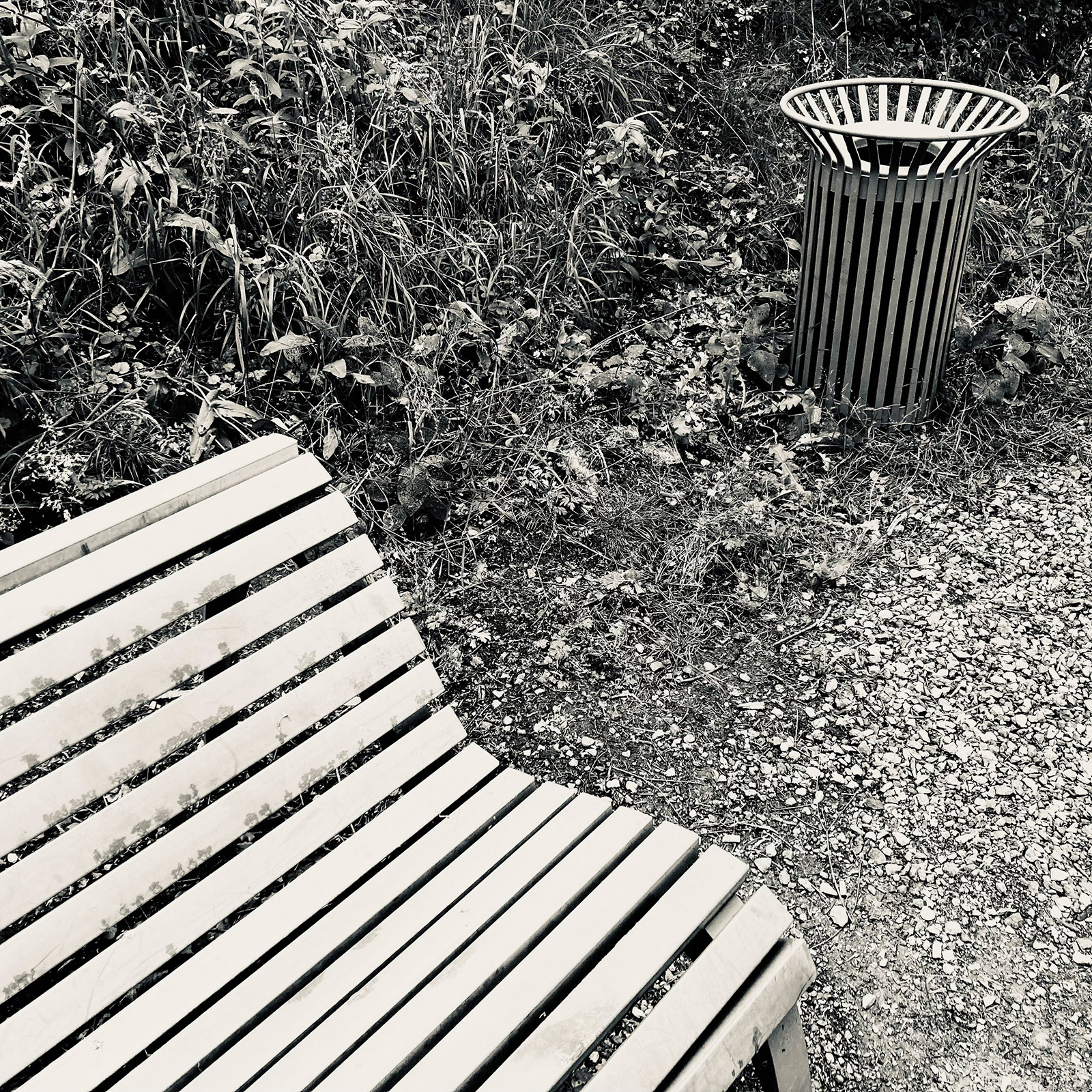 Composition photographique, par Bruno Bartkowiak 