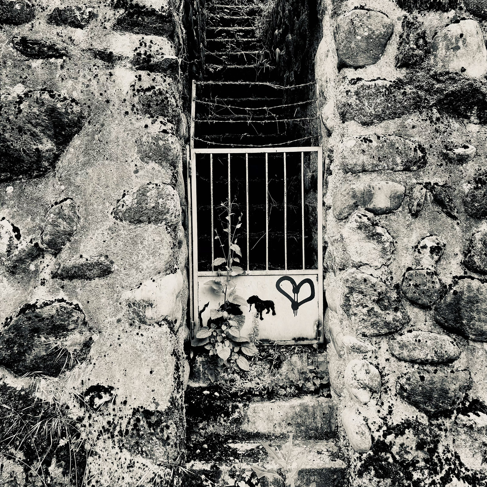 Composition photographique, par Bruno Bartkowiak 